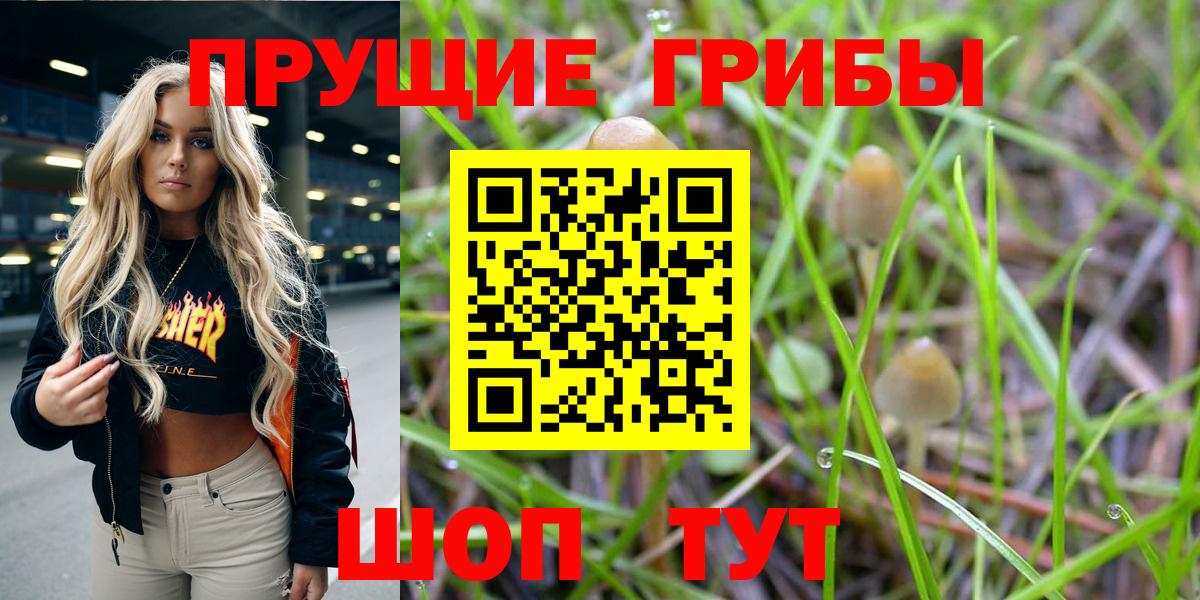 Галлюциногенные грибы Cubensis  Вход с VPN  Галлюциногенные грибы мицелий  Сатка 